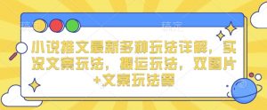 小说推文最新多种玩法详解，实况文案玩法，搬运玩法，双图片+文案玩法等|淘骐网赚资源库