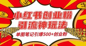 小红书创业粉引流神玩法，单图笔记引爆500+精准创业粉丝，私信狂潮接连不断|淘骐网赚资源库