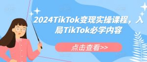 2024TikTok变现实操课程,入局TikTok必学内容|淘骐网赚资源库