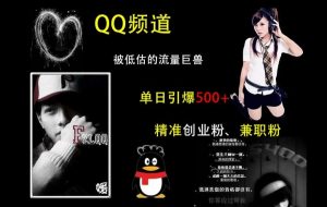 QQ频道:被低估的流量巨兽,单日引爆500+精准创业粉、兼职粉的引流秘籍|淘骐网赚资源库