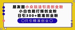 朋友圈小众玩法引流创业粉,小白也能打爆创业粉,日引300+精准创业粉【揭秘】|淘骐网赚资源库