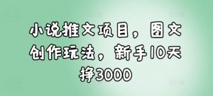 小说推文项目，图文创作玩法，新手10天挣3000|淘骐网赚资源库