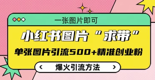小红书图片‘求带’爆火引流法，单张图片引流500+精准创业粉【揭秘】|淘骐网赚资源库