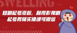 短剧起号涨粉，利用影视剧起号剪辑实操课可搬运|淘骐网赚资源库