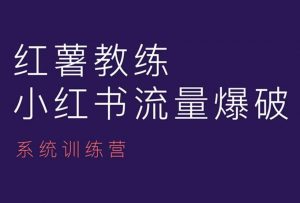 红薯教练-小红书内容运营课,小红书运营学习终点站|淘骐网赚资源库