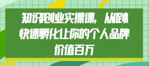 知识IP创业实操课,从0到1快速孵化让你的个人品牌价值百万|淘骐网赚资源库