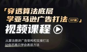 穿透算法底层,学亚马逊广告打法SP篇,从算法侧讲广告架构和实操打法,让你不再只学会表层方法|淘骐网赚资源库