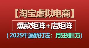 淘宝虚拟电商，2025牛逼新打法：爆款矩阵+店矩阵，月入过万|淘骐网赚资源库