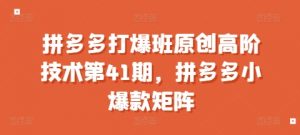 拼多多打爆班原创高阶技术第41期,拼多多小爆款矩阵|淘骐网赚资源库