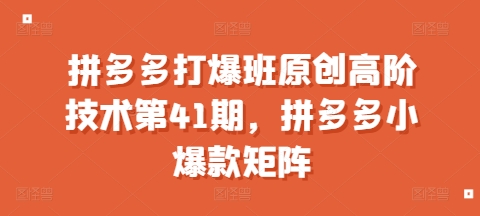 拼多多打爆班原创高阶技术第41期,拼多多小爆款矩阵|淘骐网赚资源库