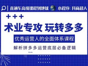 术业专攻玩转多多，优秀运营人的全面体系课程，解析拼多多运营底层必备逻辑|淘骐网赚资源库