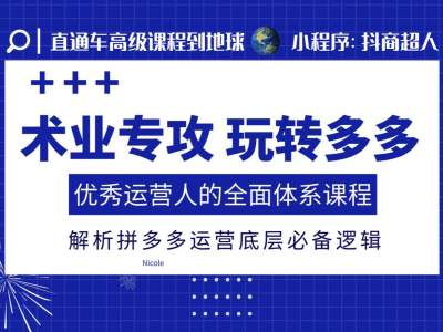 术业专攻玩转多多,优秀运营人的全面体系课程,解析拼多多运营底层必备逻辑|淘骐网赚资源库