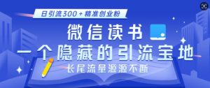 微信读书,一个隐藏的引流宝地,不为人知的小众打法,日引流300+精准创业粉,长尾流量源源不断|淘骐网赚资源库