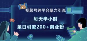 视频号跨平台暴力引流,每天半小时,单日引流200+精准创业粉|淘骐网赚资源库