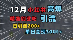 小红书一张图片“引爆”创业粉,单日+200+精准创业粉 可筛选付费意识创业粉【揭秘】|淘骐网赚资源库