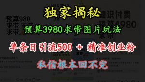 预算3980求带 图片玩法,单条日引流500+精准创业粉,私信根本回不完|淘骐网赚资源库