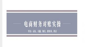 电商财务对账实操-京东天猫淘宝拼多多抖音电商财务对账|淘骐网赚资源库