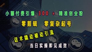 小额付费引爆 300 + 精准创业粉,零剪辑、零复杂起号,话术撬动被动引流,当日实操即见成效|淘骐网赚资源库