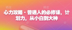 心力攻略·普通人的必修课,计划力,从小白到大神|淘骐网赚资源库