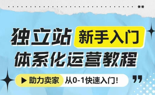 独立站新手入门体系化运营教程,助力独立站卖家从0-1快速入门!|淘骐网赚资源库