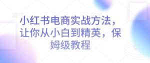 小红书电商实战方法,让你从小白到精英,保姆级教程|淘骐网赚资源库