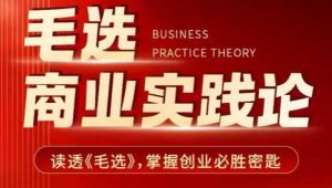 毛选商业实践论，读透《毛选》掌握创业必胜密匙|淘骐网赚资源库