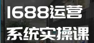 1688高阶运营系统实操课,快速掌握1688店铺运营的核心玩法|淘骐网赚资源库