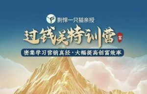 剽悍一只猫-过钱关特训营,学习营销真经 大幅度提高创富效率|淘骐网赚资源库