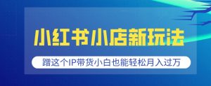 小红书小店新玩法,蹭这个IP带货,小白也能轻松月入过W【揭秘】|淘骐网赚资源库