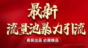 最新“流量池”无门槛暴力引流(全网首发)日引500+|淘骐网赚资源库