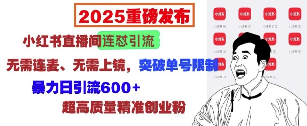 2025重磅发布:小红书直播间连怼引流,无需连麦、无需上镜,突破单号限制,暴力日引流600+|淘骐网赚资源库