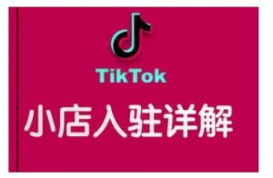 TikTok跨境小店运营全攻略，帮助你独立运营TK跨境小店的能力，实现销量增长|淘骐网赚资源库