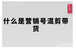 营销号混剪带货,从内容创作到流量变现的全流程,教你用营销号形式做混剪带货|淘骐网赚资源库