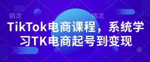 TikTok电商课程，​系统学习TK电商起号到变现|淘骐网赚资源库