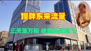 蹭胖东来流量，三天涨万粉，收益直接起飞|淘骐网赚资源库