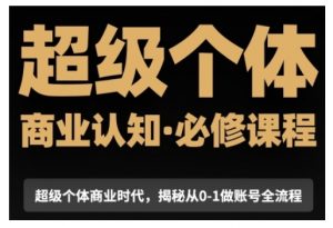 超级个体商业认知觉醒视频课,商业认知·必修课程揭秘从0-1账号全流程|淘骐网赚资源库