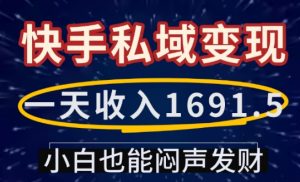 一天收入1691.5,快手私域变现,小白也能闷声发财|淘骐网赚资源库