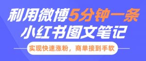 小红书利用微博5分钟一条图文笔记,实现快速涨粉,商单接到手软|淘骐网赚资源库