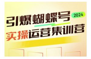 引爆蝴蝶号实操运营,助力你深度掌握蝴蝶号运营,实现高效实操,开启流量变现之路|淘骐网赚资源库