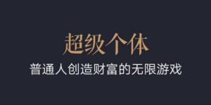 超级个体：2024-2025翻盘指南，普通人创造财富的无限游戏|淘骐网赚资源库