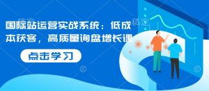 国际站运营实战系统:低成本获客,高质量询盘增长课|淘骐网赚资源库