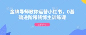 金牌导师教你运营小红书,0基础进阶赚钱博主训练课|淘骐网赚资源库
