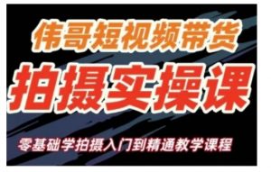 短视频带货拍摄实操课,零基础学拍摄入门到精通教学|淘骐网赚资源库