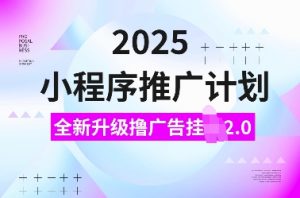 2025小程序推广计划，全新升级撸广告挂JI2.0玩法，日入多张，小白可做【揭秘】|淘骐网赚资源库