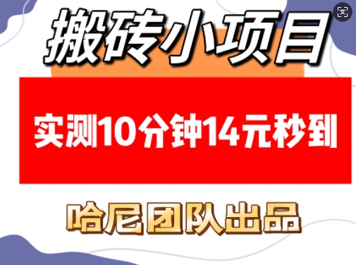 搬砖小项目,实测10分钟14元秒到,每天稳定几张(赠送必看稳定)|淘骐网赚资源库