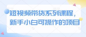 短视频带货系列课程,新手小白可操作的项目|淘骐网赚资源库