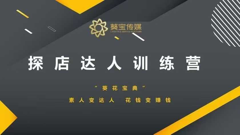 探店达人训练营,素人变达人,花钱变赚钱|淘骐网赚资源库