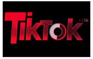 TikTok ads投流秘籍,涵盖tiktok整体投放思路,教你搭建测试计划|淘骐网赚资源库