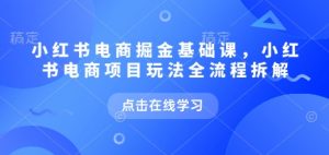 小红书电商掘金课，小红书电商项目玩法全流程拆解|淘骐网赚资源库