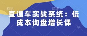 直通车实战系统:低成本询盘增长课,让个人通过技能实现升职加薪,让企业低成本获客,订单源源不断|淘骐网赚资源库
